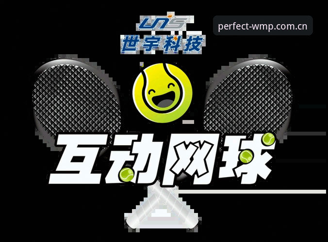 完美体育官网注册入口安全吗 完美体育中国站注册入口安全吗?深度评测与创新探索