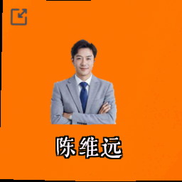 陈维远